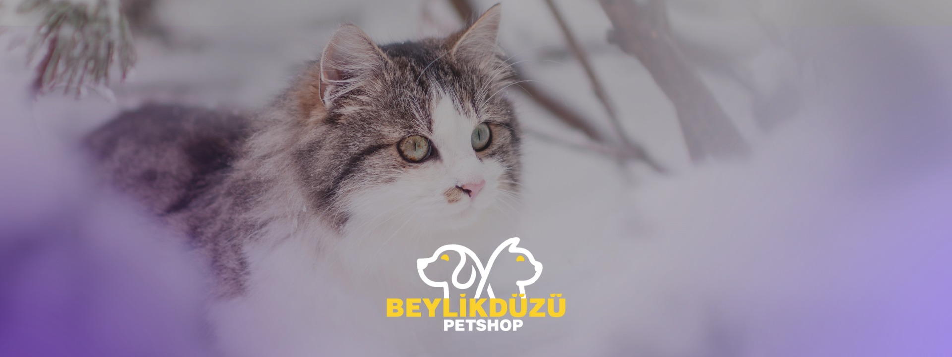 Kedi Bakımında Kışın Neler Yapılmalıdır?