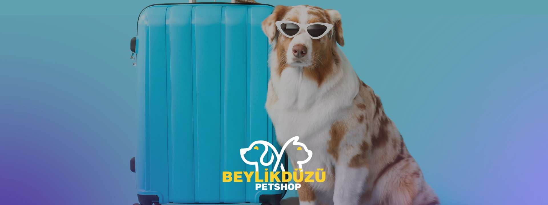 Seyahate Çıkan Can Dostumuza Ne Yapabiliriz?