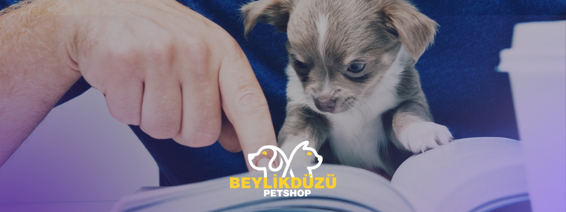 Yavru Köpek Eğitiminde 10 Altın Kural
